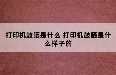 打印机鼓晒是什么 打印机鼓晒是什么样子的